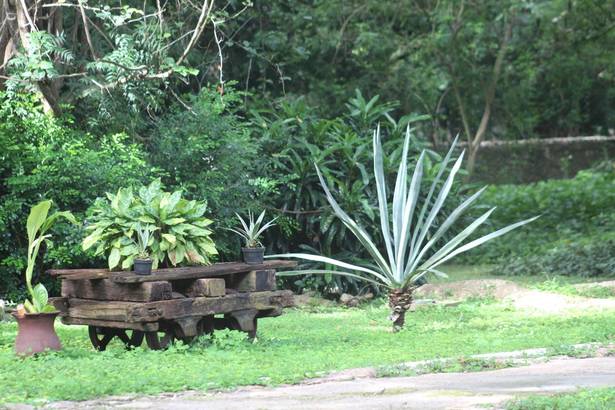 Hacienda San Jose, a Luxury Collection Hotel, San Jose Tixkokob Exterior foto